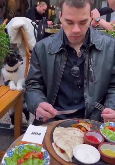 In Istanbul, a cat went viral on social media for politely asking a tourist for some food. 🐱✨ In the video, the cat&rsquo;s gentle gestures and adorable looks captured everyone&rsquo;s heart🫠❤️
