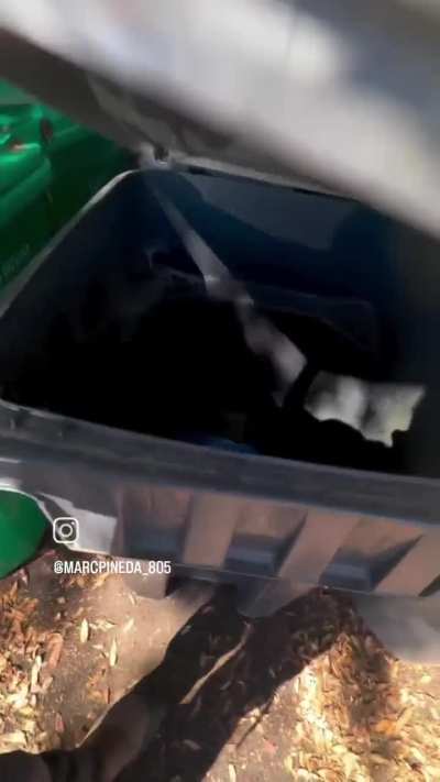 "Just checking the trash cans for IEDs."