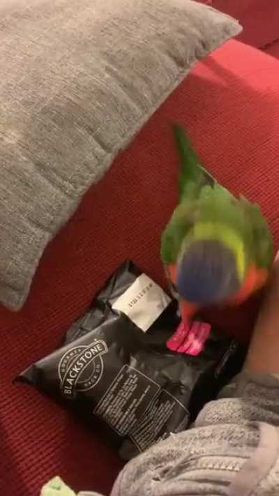 BONK! THE! CHIPS!