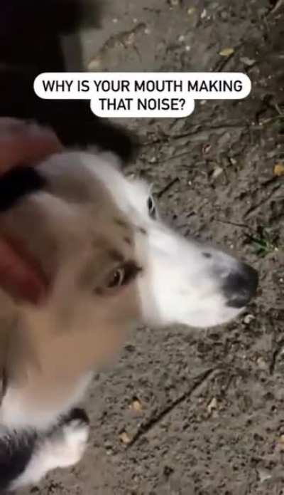 At least he didn&rsquo;t chew it?