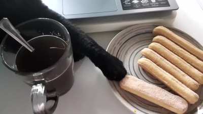 Girlfriend’s cat touching da biscuit