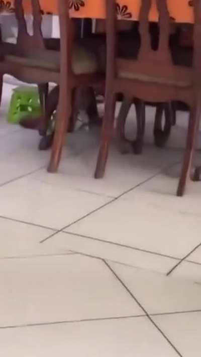 Great offence was taken