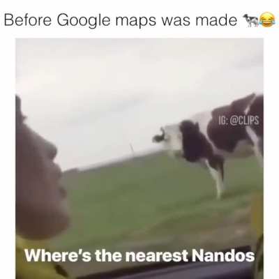 SLPT: Ask a cow for directions when lost