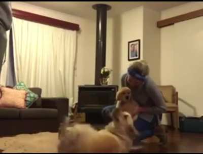 &ldquo;You got me a puppy?!&rdquo;