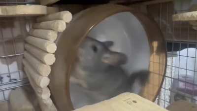 Jumpscare wunker