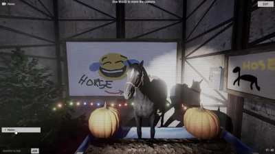 DON'T TYPE "HORSE" INTO RUST CAMERAS AT 3 AM