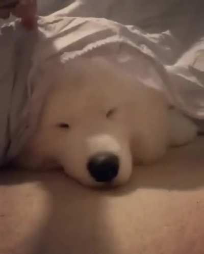 The smiling cloud