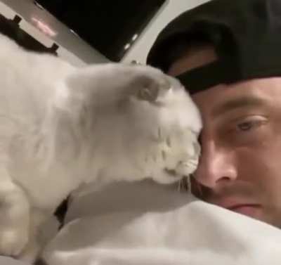 No human no