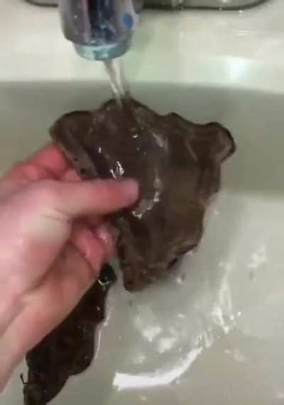 Not where I thought this was going