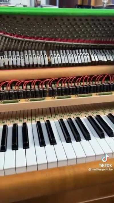 shockingly good piano