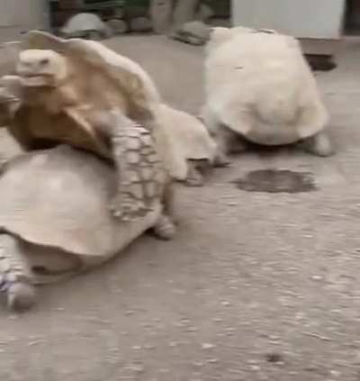 hmmm