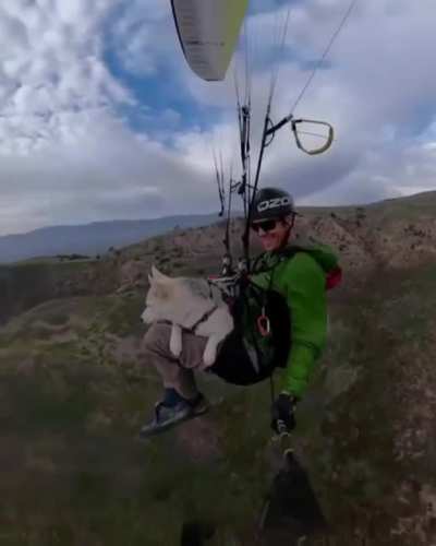 Weeeeeeeeeee!!