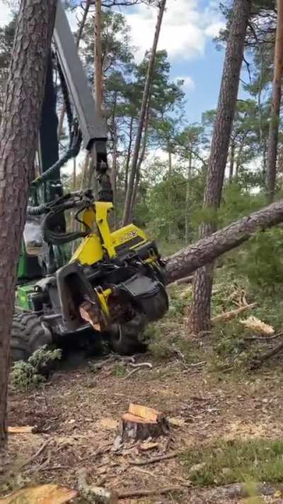 Amazing machine