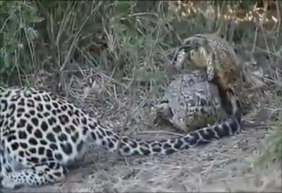 &iquest;Que hay Bro? &Eacute;chame aguas
