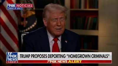 Trump on whether he wants to send convicted American citizens to detention camps in El Salvador: "We want to do it. I would love to do that."
