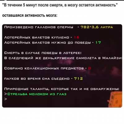 Твоя Стата