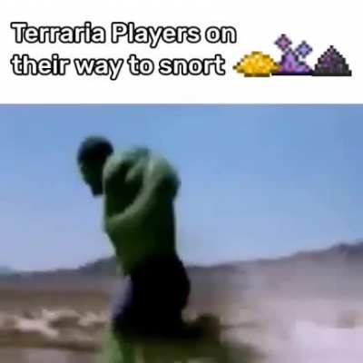 Literally Me