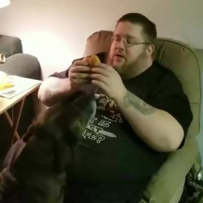 trying to eat in front of a cat