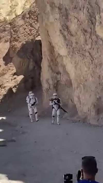 Friends parents of mine saw this while hiking in Death Valley. Any ideas?