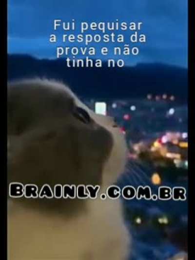 N&atilde;o tinha ;-;