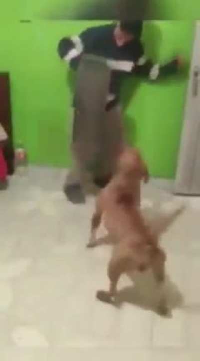Muquinha posso levar meu cachorrinho no churras?? ele é mto de boa