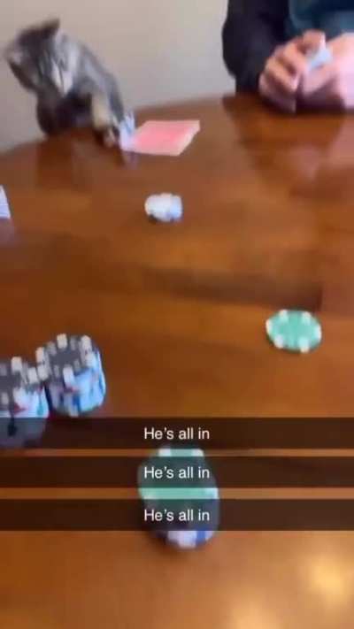 He's all in