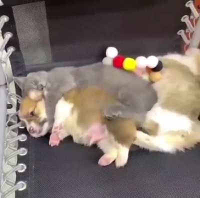 When you&rsquo;re wide awake but don&rsquo;t want to interrupt snuggle time