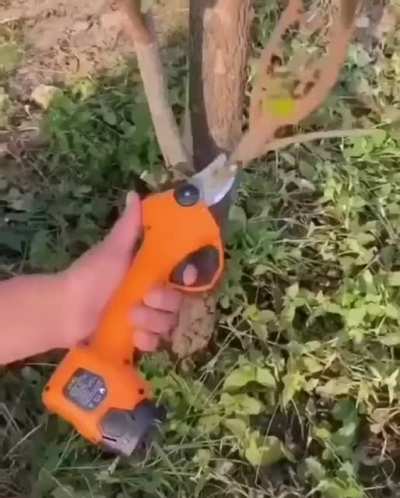 Cut cut cut cut