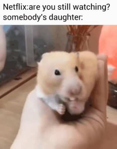 Shlooop