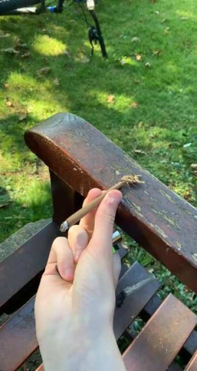 Smokin wit da moth
