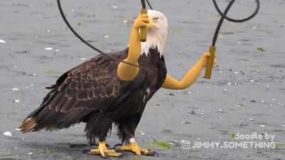 Murica🇺🇸🔫🪙