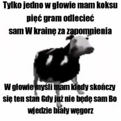 Shut up epic cow time 😎😎😎😎