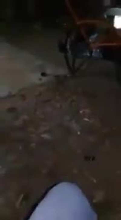 Se la rifo mi mariachi de 20$ la hora