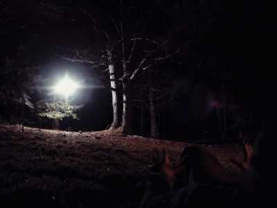 The Sudbury Devil is now streaming on Tubi, Apple TV+ and Prime Video!