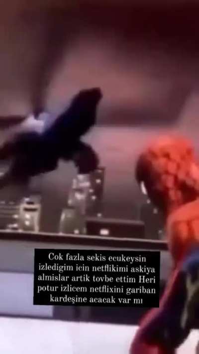 Sekis ecukeysin