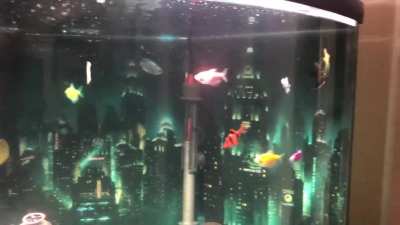An update to my Bioshock theme fish tank! It&rsquo;s got more fish now 🐟🐠🐡