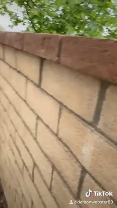 My underground people need me