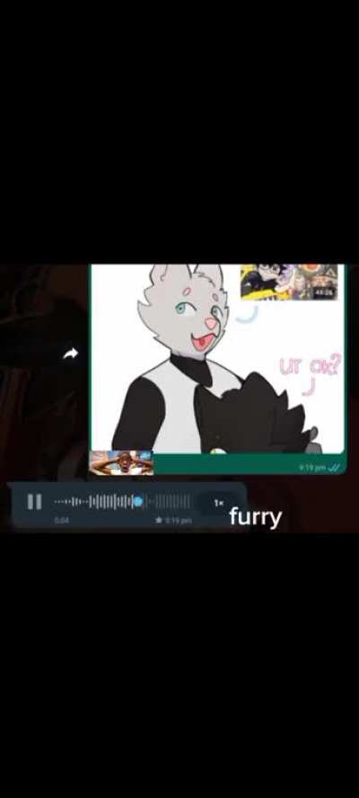 furry&eth;&curren;&macr;irl