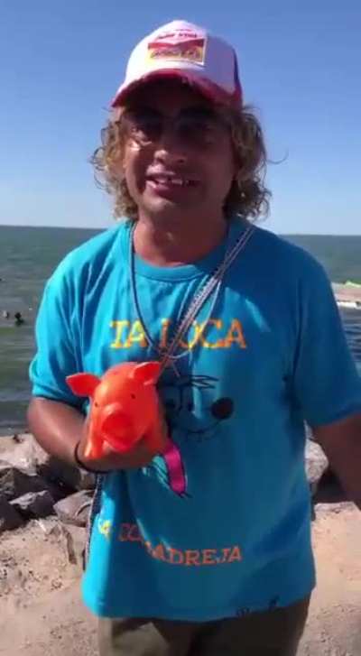 Vieja miedosa
