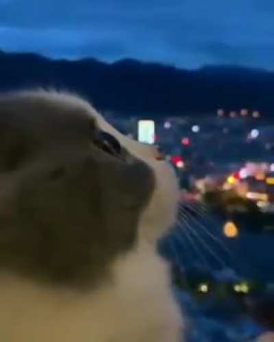 Oi,boa noite.