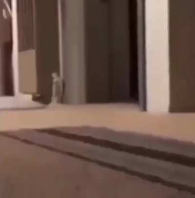 I don&rsquo;t know what to put here