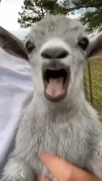 Ahhhh