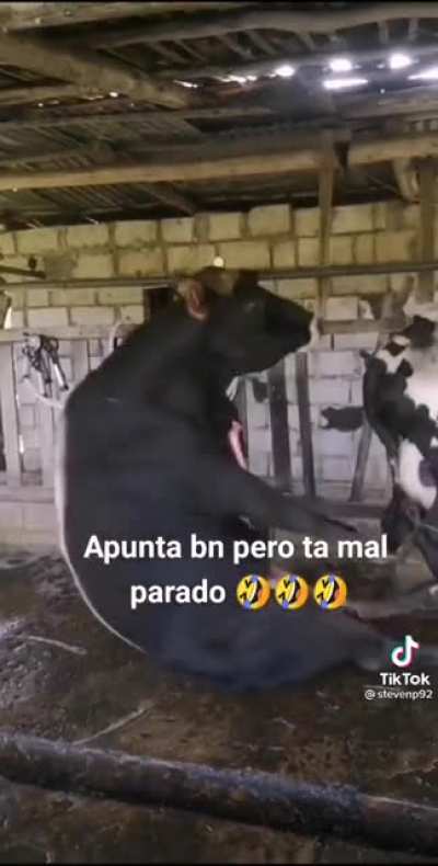 Jajajajaja cuidao q resbala😎
