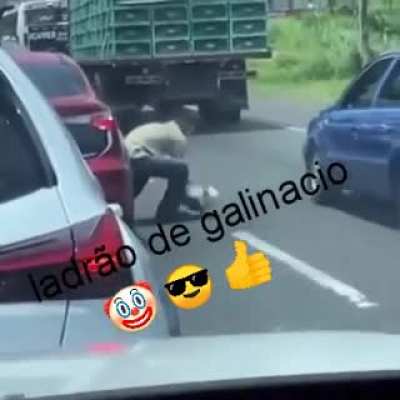 Ladr&atilde;o de galin&aacute;cio