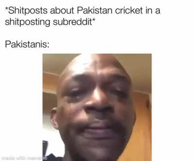 Shitposting not allowed. It hurts my feefees.