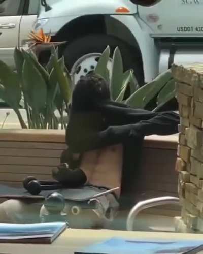 To smoke a pipe in public