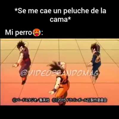 Lit xD