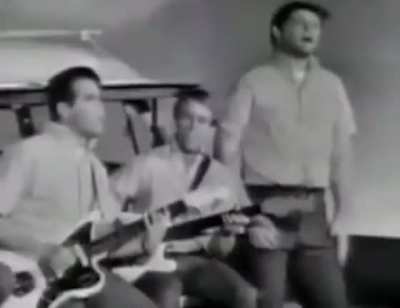 The Beach Boys