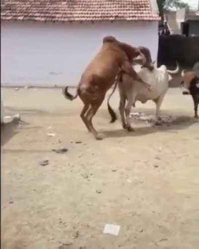 No action was had that fateful day