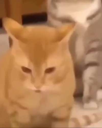 vinbom